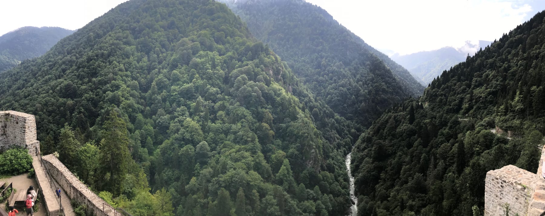 Fırtına Vadisi’nin ormanlarla kaplı dağ manzarası
